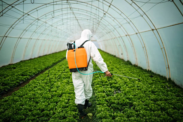 Best Best Pest Control Companies  in Devine, TX