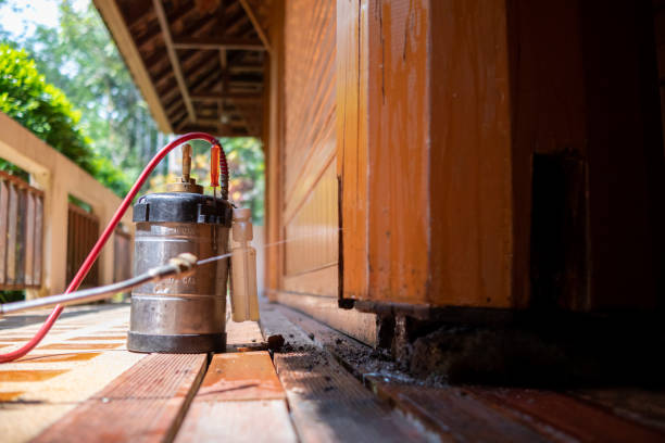 Best Ant Control Services  in Devine, TX
