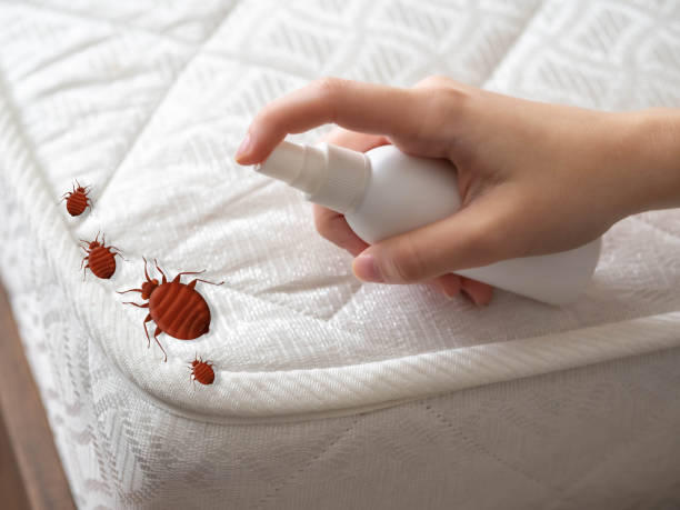 Best Pest Removal Services  in Devine, TX